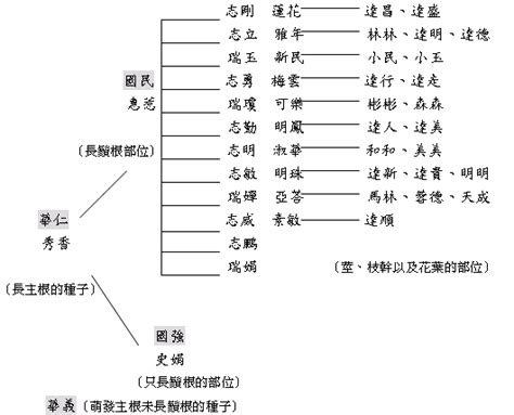 方北方|論方北方《樹大根深》之樹意象